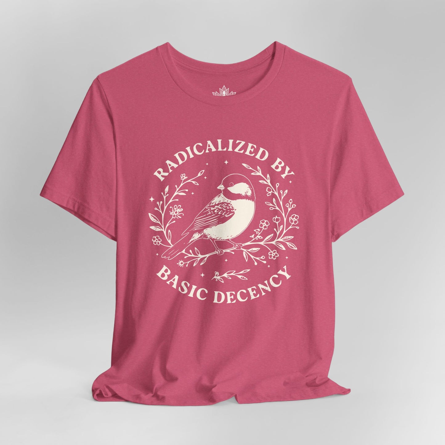 Radicalized By Basic Decency Tee