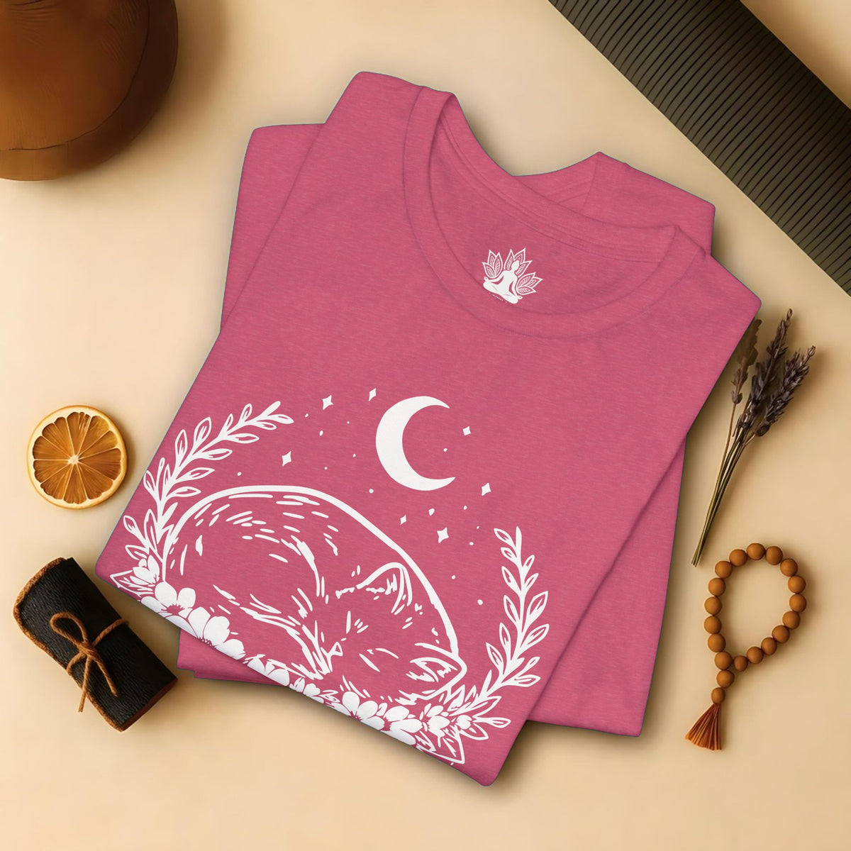 Chat endormi sous la lune