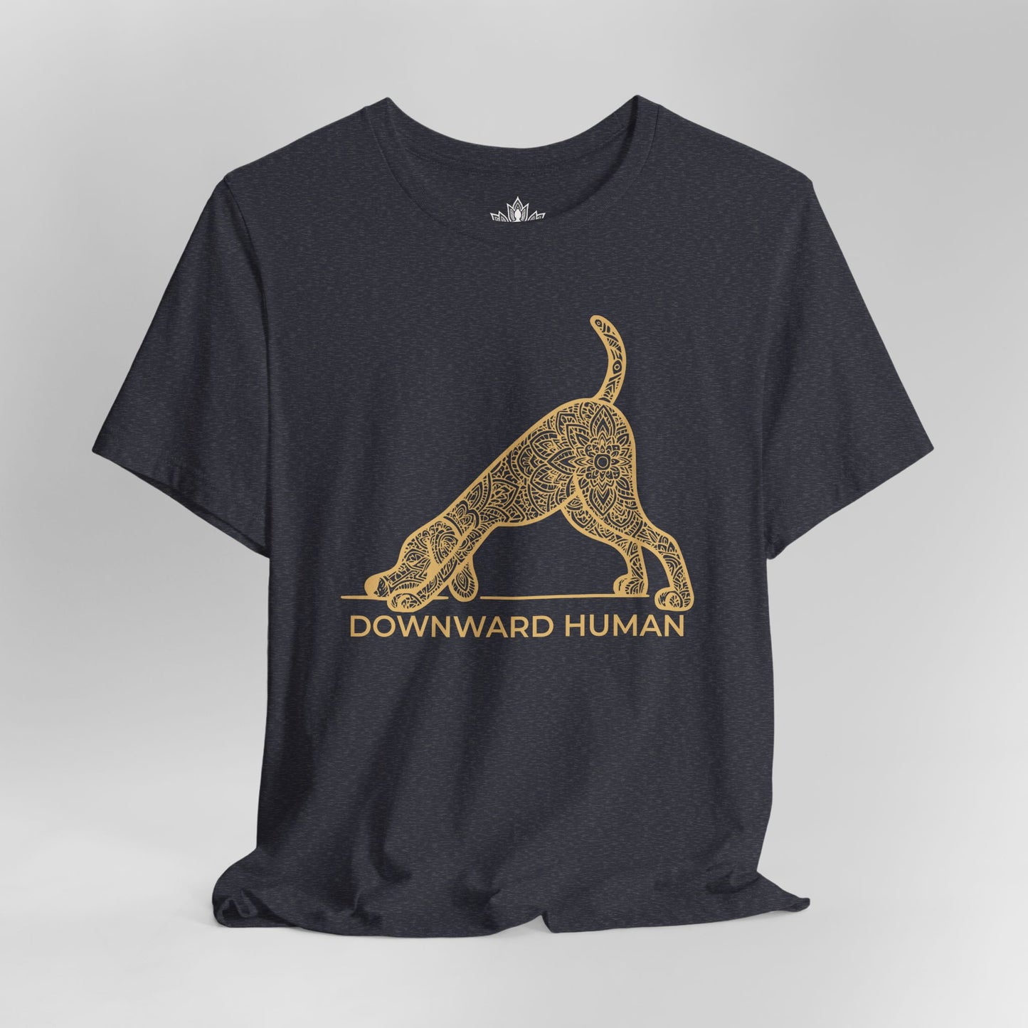Chien Mandala « Downward Human »