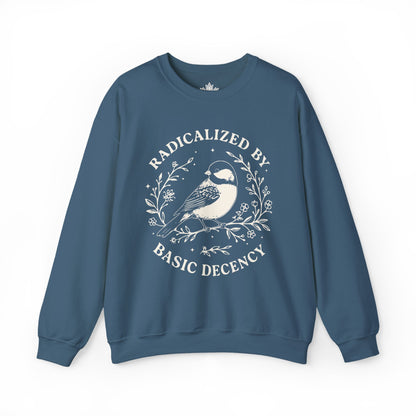Radicalized By Basic Decency Sweatshirt
