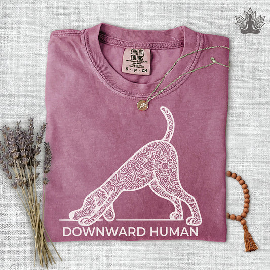 Downward Human Comfort Colors Tee