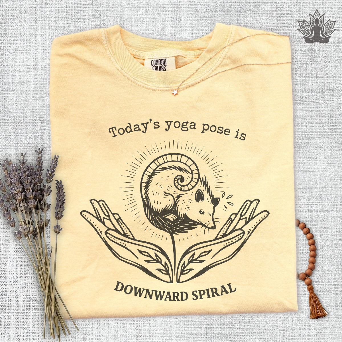 Downward Spiral Opossum Comfort Colors® Tee