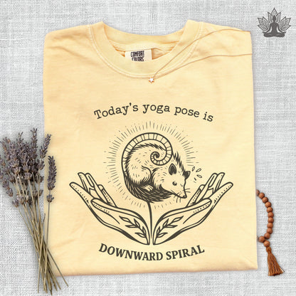 Downward Spiral Opossum Comfort Colors® Tee