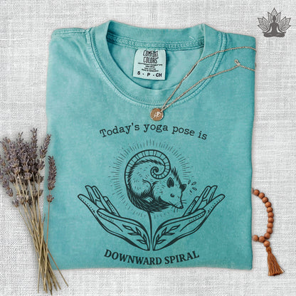 Downward Spiral Opossum Comfort Colors® Tee