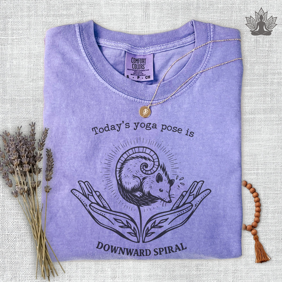 Downward Spiral Opossum Comfort Colors® Tee