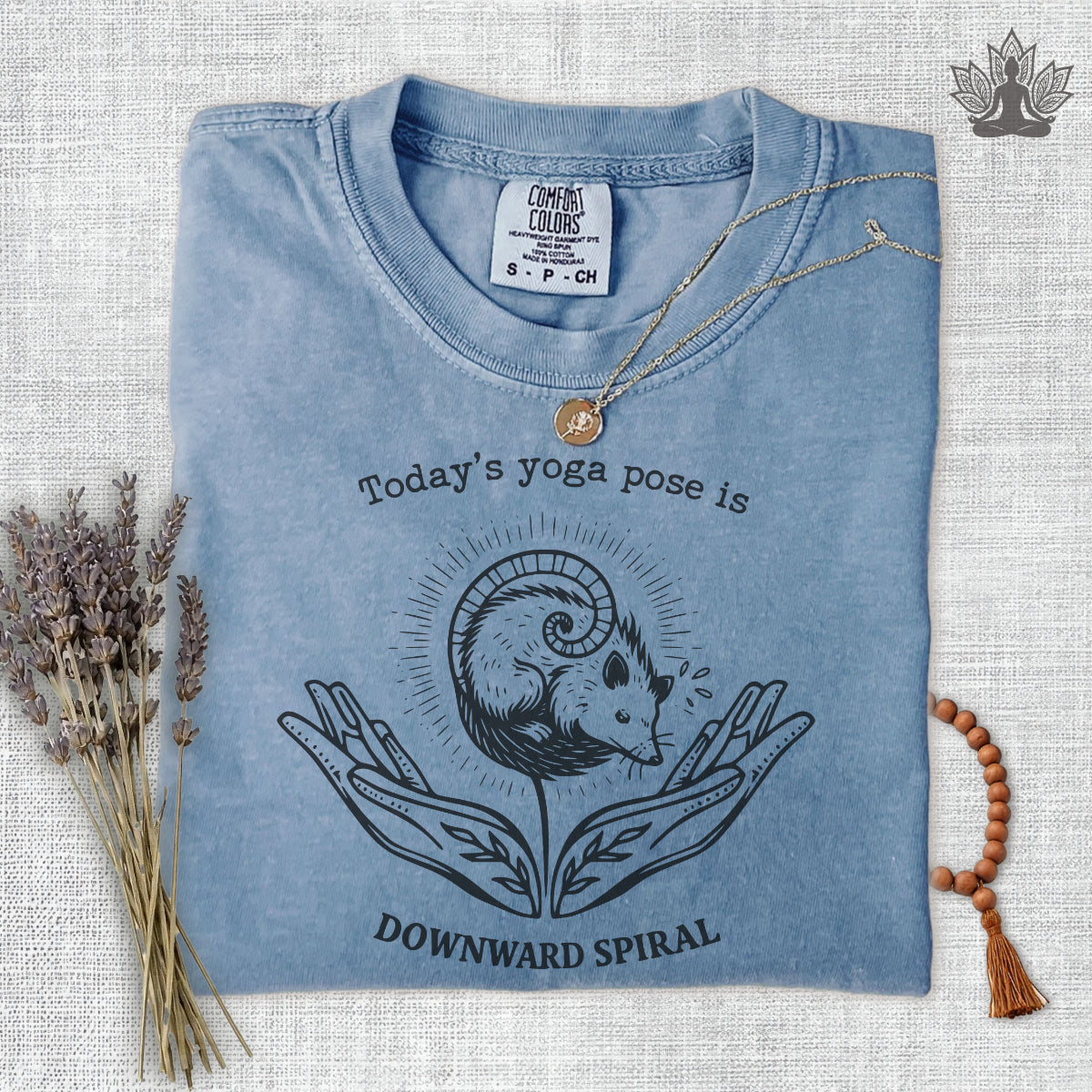 Downward Spiral Opossum Comfort Colors® Tee