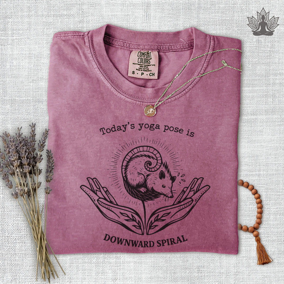 Downward Spiral Opossum Comfort Colors® Tee