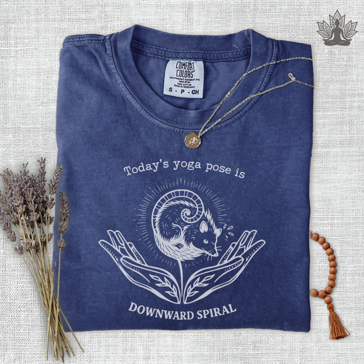 Downward Spiral Opossum Comfort Colors® Tee