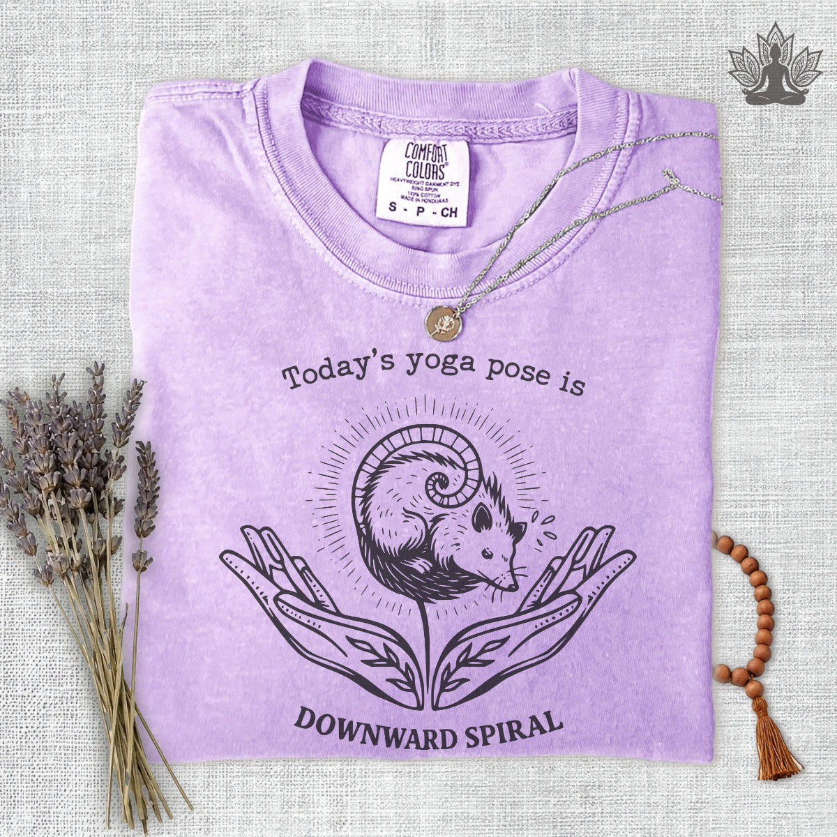 Downward Spiral Opossum Comfort Colors® Tee