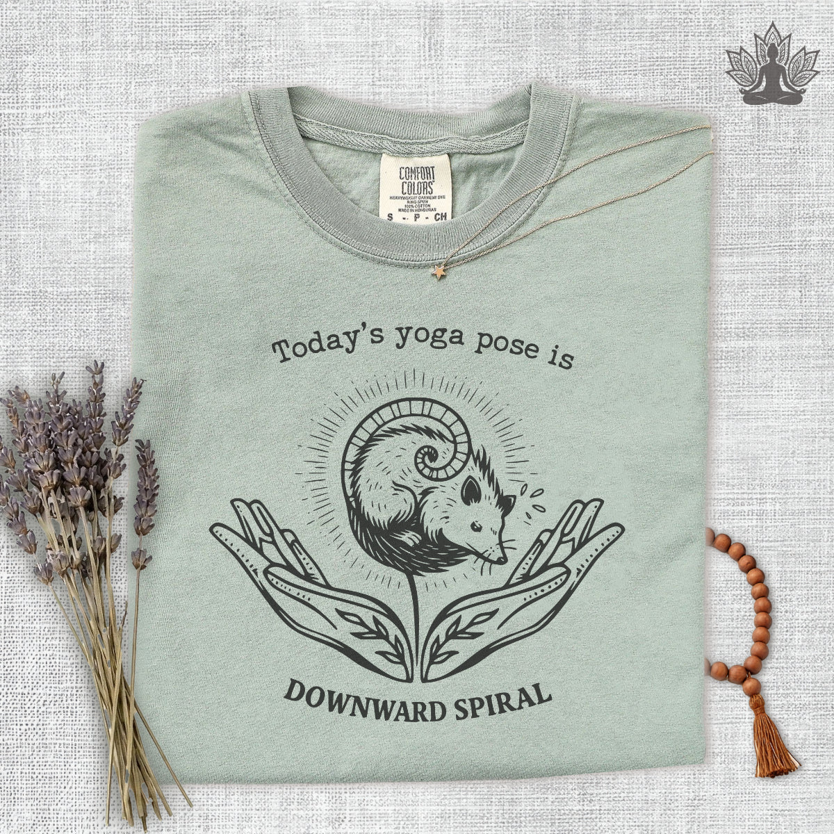 Downward Spiral Opossum Comfort Colors® Tee