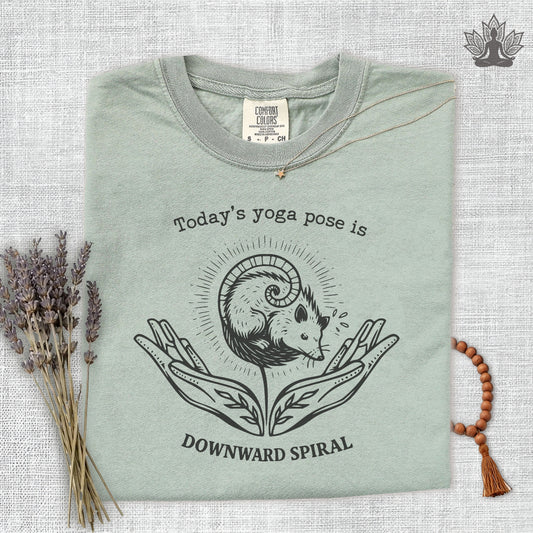 Downward Spiral Opossum Comfort Colors® Tee