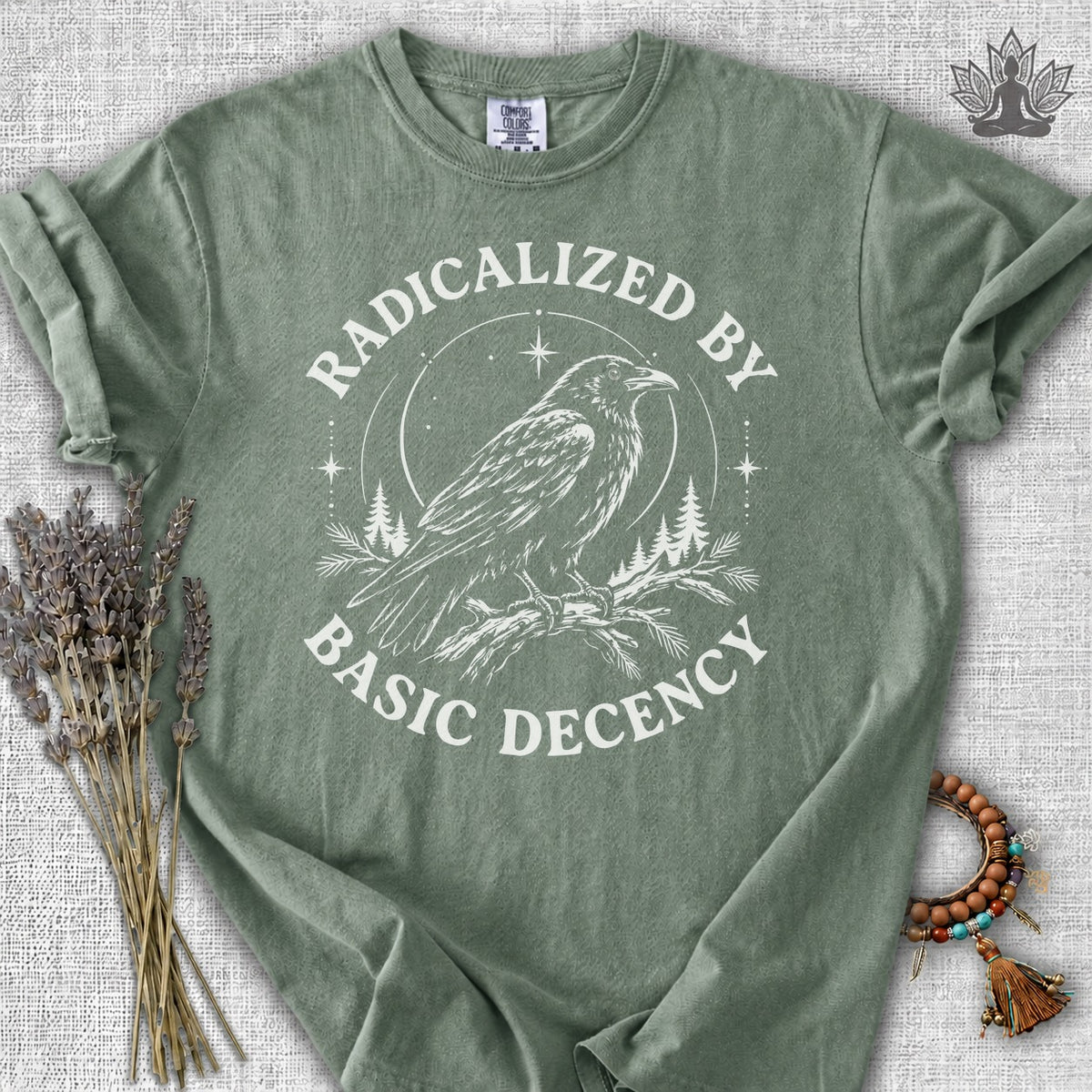 Radicalized By Basic Decency Crow Comfort Colors® Tee