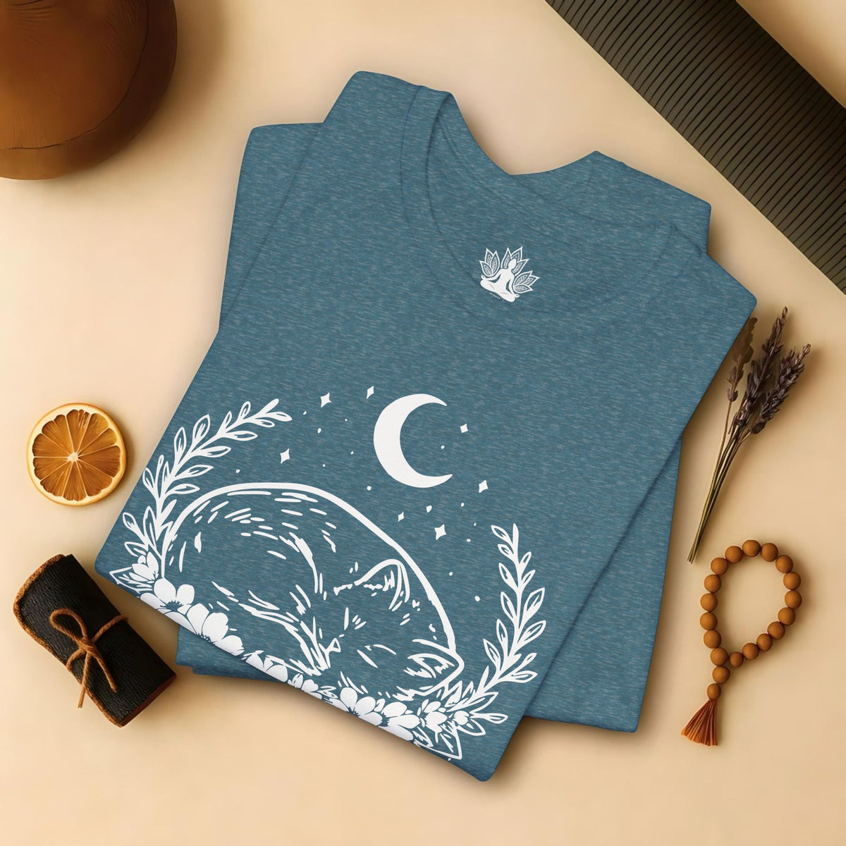 Chat endormi sous la lune